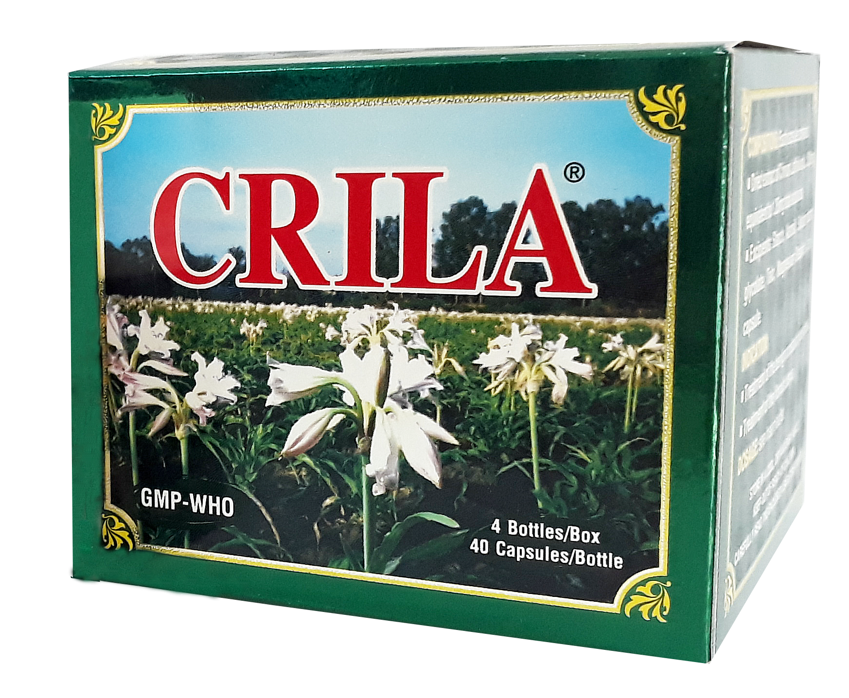HOW TO DISTINGUISH THE FAKE CRILA FROM THE REAL ONE