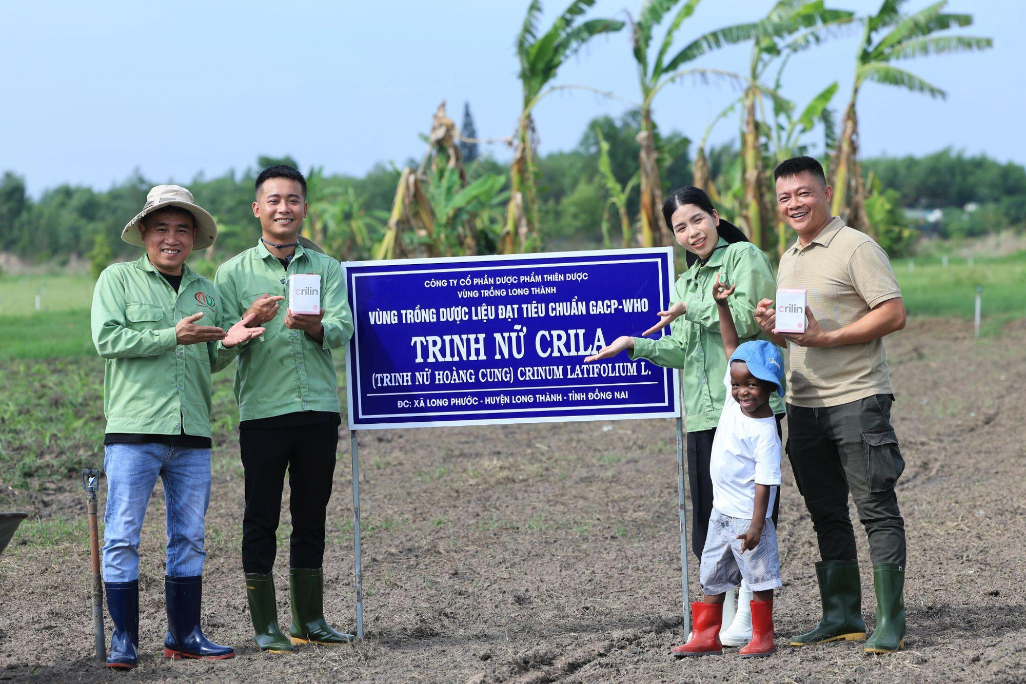 Tuoitre: Quang Linh Vlogs trải nghiệm thực tế vùng trồng Trinh nữ Crila
